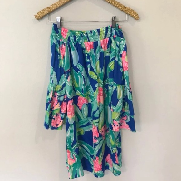 Lilly Pulitzer Dress**^*^ Sold - Picture 1 of 4
